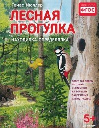 Лесная прогулка. Находилка-определялка