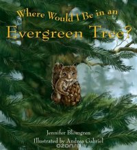 Where Would I Be in an Evergreen Tree?