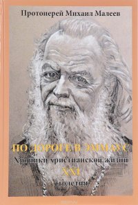 По дороге в Эммаус. Хроники христианской жизни 21 столетия