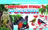 Зимующие птицы России. Обучающие карточки