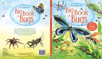 Big Book of Bugs