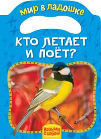 Кто летает и поет?