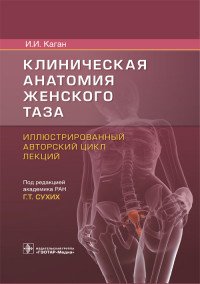 Клиническая анатомия женского таза. Иллюстрированный авторский цикл лекций