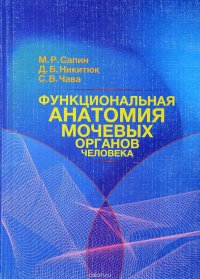 Функциональная анатомия мочевых органов человека