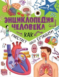 Энциклопедия человека: как работает наш организм