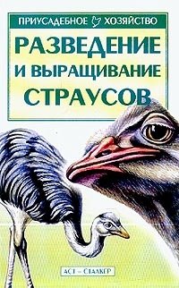 Разведение и выращивание страусов