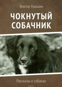 Чокнутый собачник