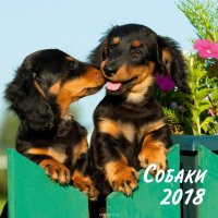 Календарь 2018 (на скрепке). Собаки