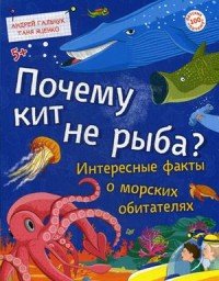 Почему кит не рыба? Интересные факты о морских обитателях