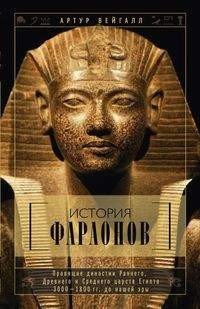 Монахи войны. История военно-монашеских орденов от возникновения до XVIII века