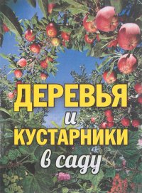 Деревья и кустарники в саду