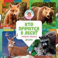 Кто прячется в лесу?