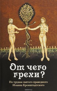 От чего грехи? По трудам святого праведного Иоанна Кронштадтского