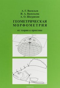 Геометрическая морфометрия