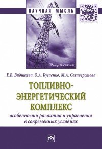 Топливно-энергетический комплекс. Особенности развития и управления в современных условиях