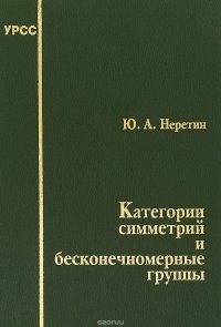 Категории симметрий и бесконечномерные группы