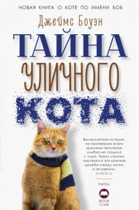 Тайна уличного кота