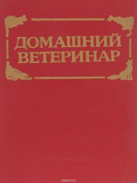 Домашний ветеринар: как помочь вашим любимцам и кормильцам