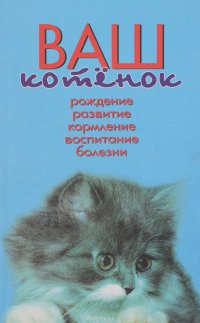 Ваш котенок