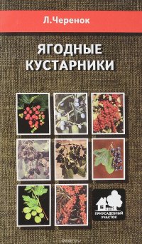 Ягодные кустарники