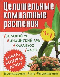 Целительные комнатные растения