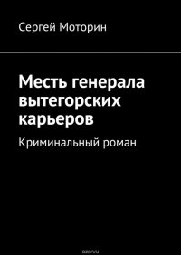 Месть генерала вытегорских карьеров. Криминальный роман