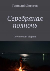 Серебряная полночь. Поэтический сборник