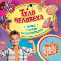 Тело человека