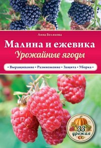 Малина и ежевика. Урожайные ягоды