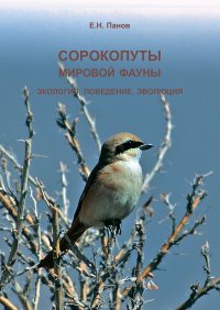 Сорокопуты (семейство Laniidae) мировой фауны. Экология, поведение, эволюция