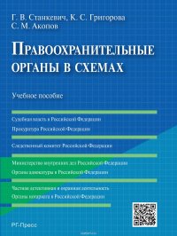 Правоохранительные органы в схемах. Учебное пособие