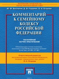 Комментарий к Семейному кодексу Российской Федерации (постатейный научно-практический)