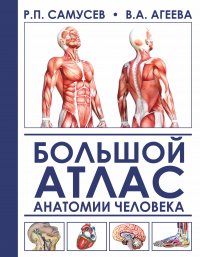 Р. П. Самусев, Агеева В.А. - «Большой атлас анатомии человека»