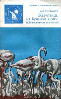 Жар-птица из Красной книги