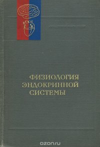 Физиология эндокринной системы