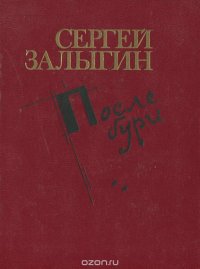 После бури. Книга 2