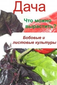 Что можно вырастить? Огород. Бобовые и листовые культуры