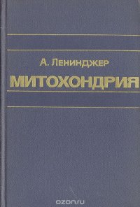 Митохондрия