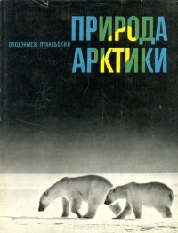 Природа Арктики