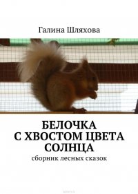 Белочка с хвостом цвета солнца. Сборник лесных сказок