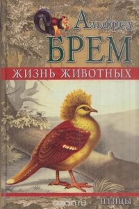 Жизнь животных. Птицы. Том 3. Отряд древесные птицы. Отряд попугаи. Отряд голубиные