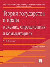 Теория государства и права в схемах, определениях и комментариях. Учебное пособие