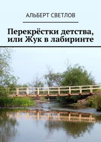 Перекрестки детства, или Жук в лабиринте