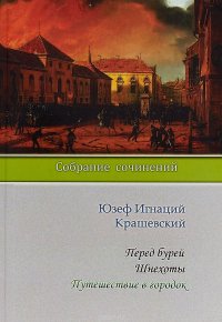 Перед бурей. Шнехоты. Путешествие в городок