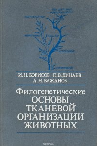 Филогенетические основы тканевой организации животных