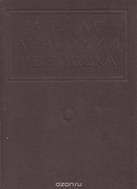 Атлас анатомии человека. Том 3. Учение о внутренностях