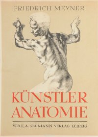 Kuenstleranatomie