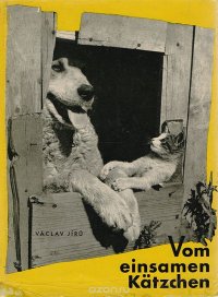 Vom einsamen Katzchen