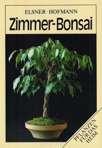 Zimmer-Bonsai