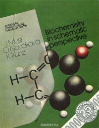 Biochemisty in Schemalic Perspective